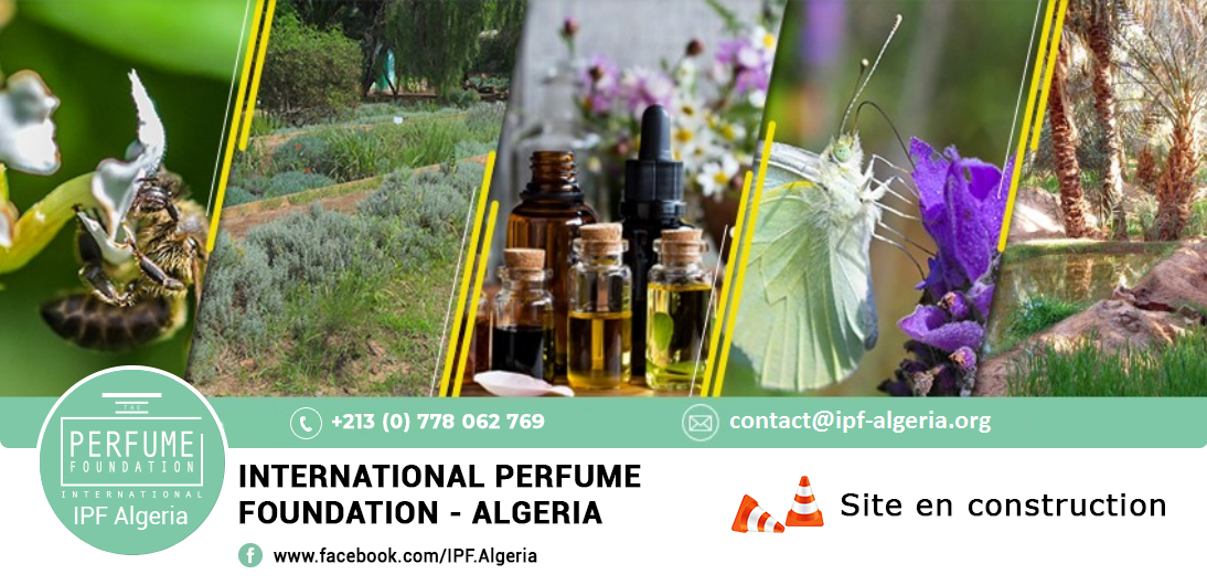 Cliquez pour consulter notre page Facebook